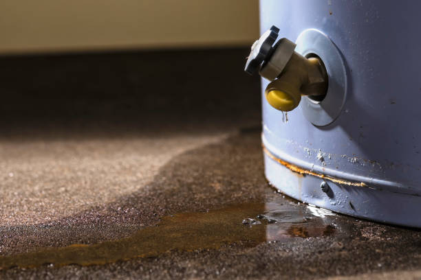 Best Sewage cleanup and water damage restoration  in Hicksville, NY