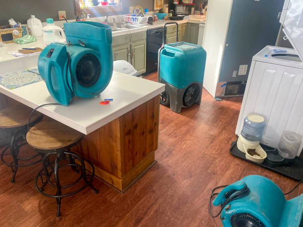 Best 24-hour water damage restoration  in Hicksville, NY