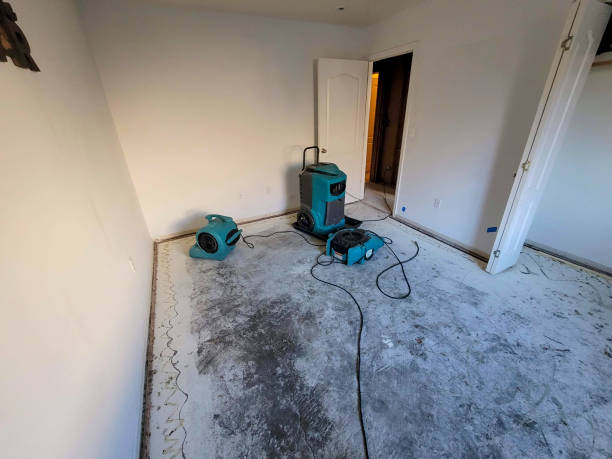Best Ceiling water damage repair  in Hicksville, NY