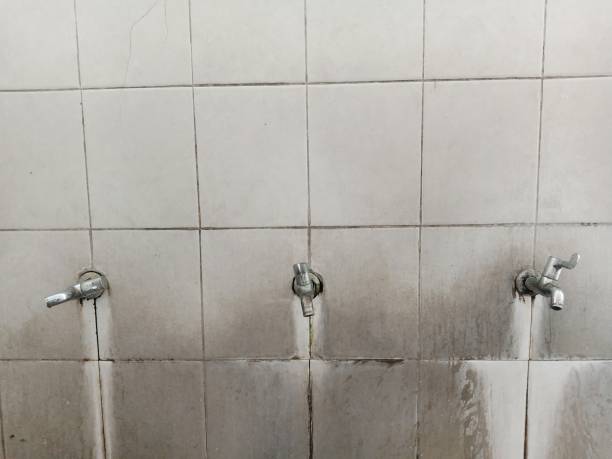 Best Sewage cleanup and water damage restoration  in Hicksville, NY