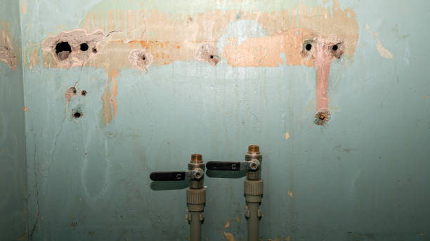 Best Flood restoration services  in Hicksville, NY
