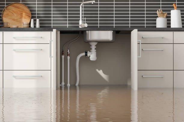 Best Commercial water damage restoration  in Hicksville, NY