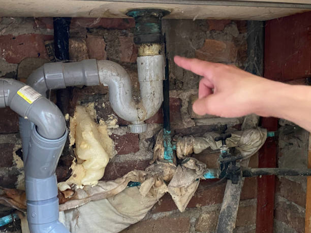 Best Carpet water damage restoration  in Hicksville, NY