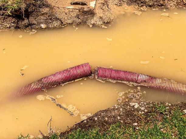 Hicksville, NY Water damage restoration Pros